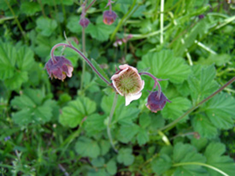 09